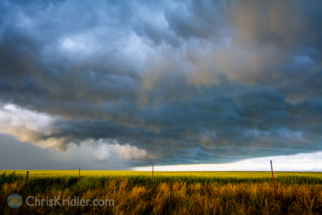 I couldn't get enough of the colors in the fields and sky.