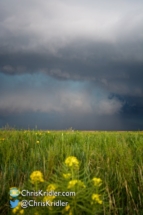 Flowers and supercell.