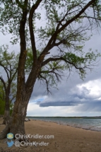 The trees were atmospheric as a tiny storm attempted to form a base.