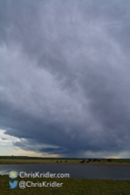 The cows were content to ignore this storm.