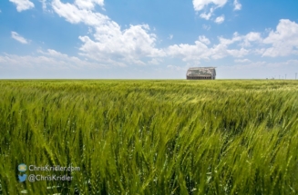 East of Leoti, we paused to observe this beautiful barn.