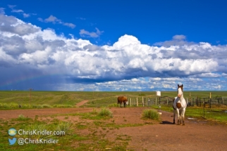 The storm with rainbow and horses.