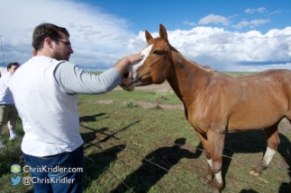 Brad Rousseau pets a horse.