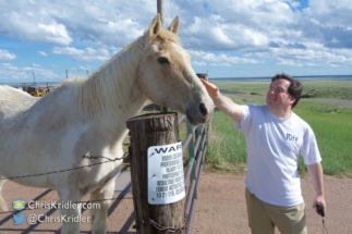 Bill Hark says hello to the horses.