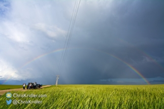 Rainbow, wheat and chasers.