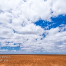 We headed to eastern New Mexico in hopes of storms. Clouds were promising.