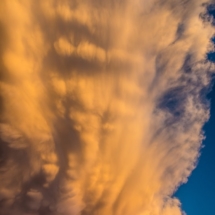 Mammatus swirl up through the anvil.