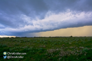 Pretty storm, pretty wildflowers.