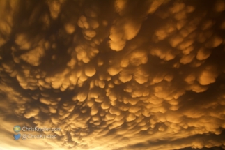 A field of orange-lit mammatus.