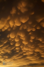 More lovely mammatus.