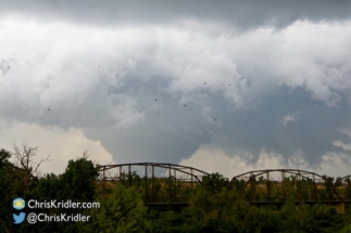 The dark specks are birds in front of the tornado.