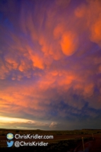 A last look at the big mammatus in the sunset light.