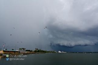 And a huge downpour was moving in, sending the birds flying.