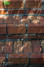 Shadows on the brick steps.