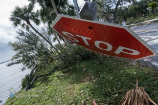 Stop! This sign was blasted over by Irma's winds.