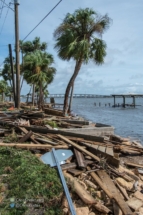 Debris along the lagoon's edge.