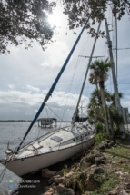 Several boats were tossed against the shore.