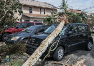 This car in Cocoa unfortunately caught a falling tree.