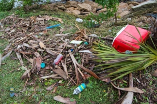 Interesting debris thrown up on the riverbank.