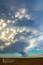 Here's a wider shot of the cell with the mammatus.