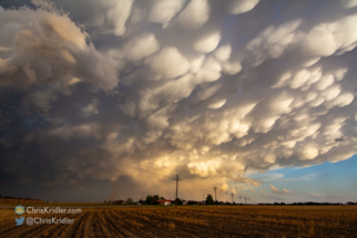 Mammatus over golden-brown fields on the south side of Lubbock.