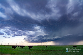 Such a classic scene in the plains.