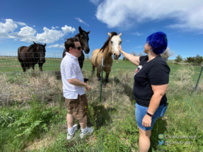 We said hello to friendly horses south of Brush, Colorado.