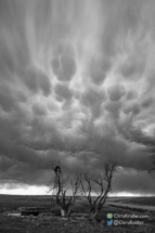 North of Fort Morgan, we observed mammatus clouds.