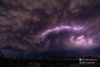 Another crawler threads through the mammatus.