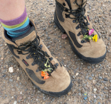 Alethea adopted wildflowers for her shoes while we refined our target.