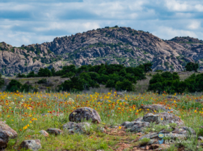 Wichita Mountains Wildlife Refuge, 1 June 2021.