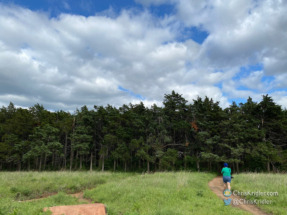 We concluded our visit with a stop by the Parallel Forest.