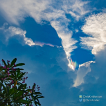 080721colorpileus