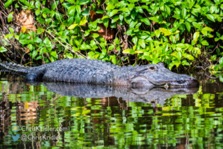 042922brevardzoo-10