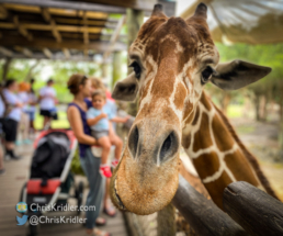 042922brevardzoo-11