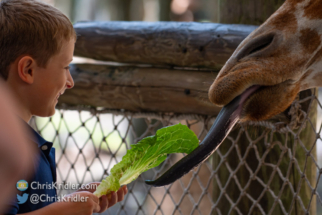 042922brevardzoo-4