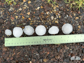 We spotted hail up to 1.5 inches.