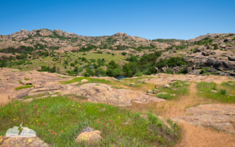 A favorite perch at Wichita Mountains National Wildlife Refuge in Oklahoma.