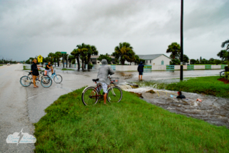 Residents watch as a surfer takes on a drainage ditch in flooded Satellite Beach during Tropical Storm Fay.