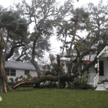 Along Rockledge Drive in Rockledge, the road along the Indian River Lagoon, a large tree fell on a house as Hurricane Jeanne passed through. This was shot Sept. 26.