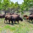 7 May 2024: Storm chasing detour to the Wichita Mountains